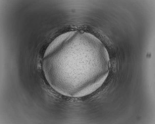 X0000093770770200711061133