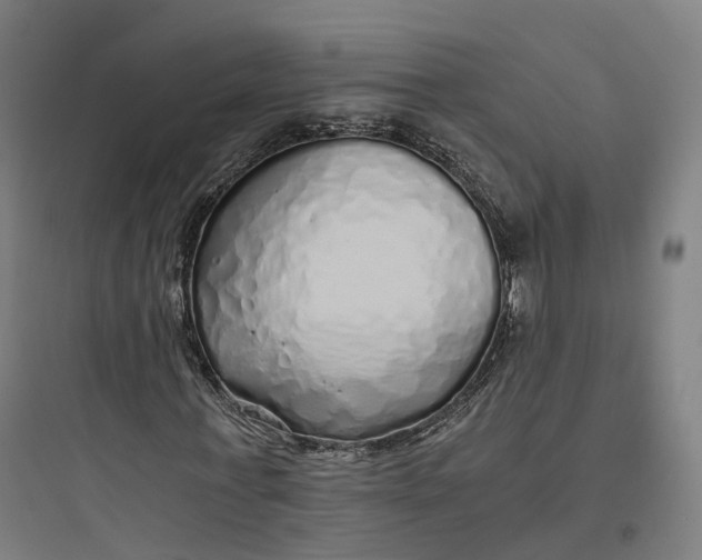 X0000093770771200711061133