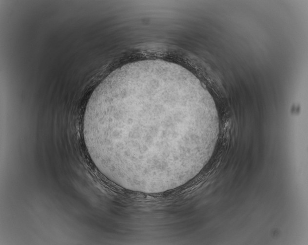 X0000093770772200711061133