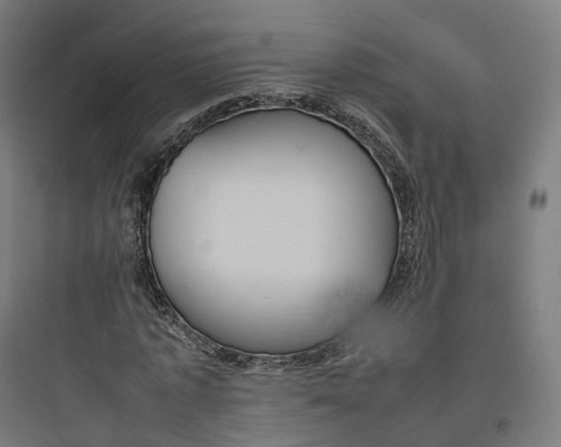 X0000093770773200711061133