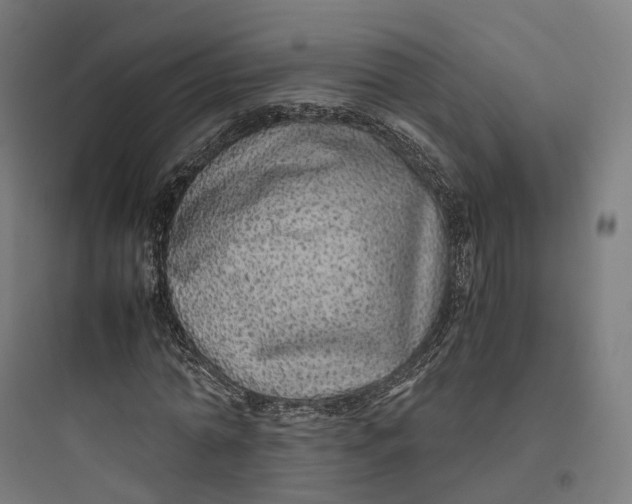 X0000093770774200711061133