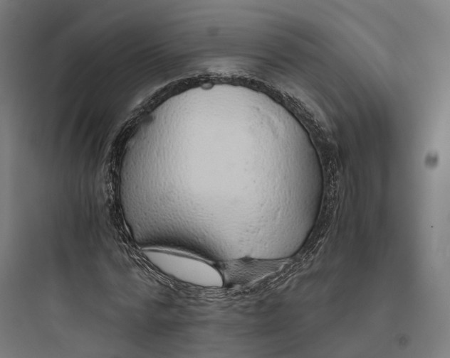 X0000093770776200711061133