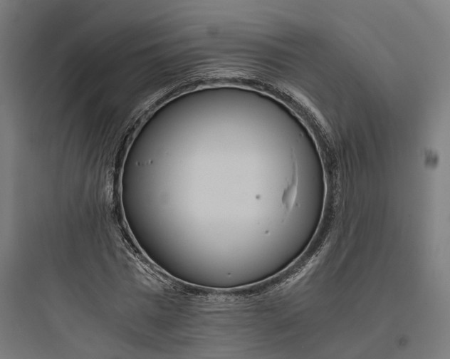 X0000093770777200711061133