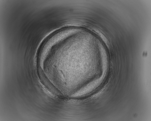 X0000093770779200711061133