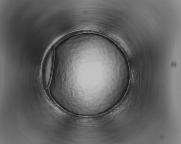 X0000093770780200711061133