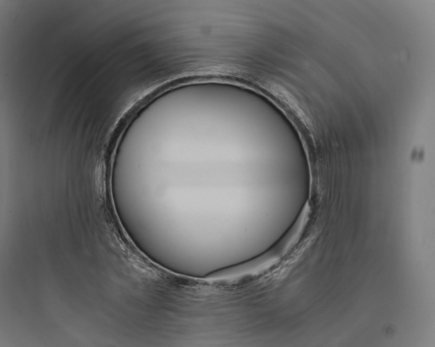 X0000093770781200711061133