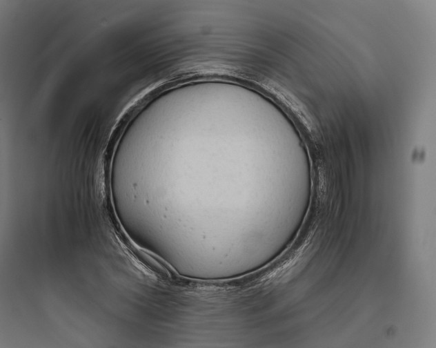 X0000093770782200711061133