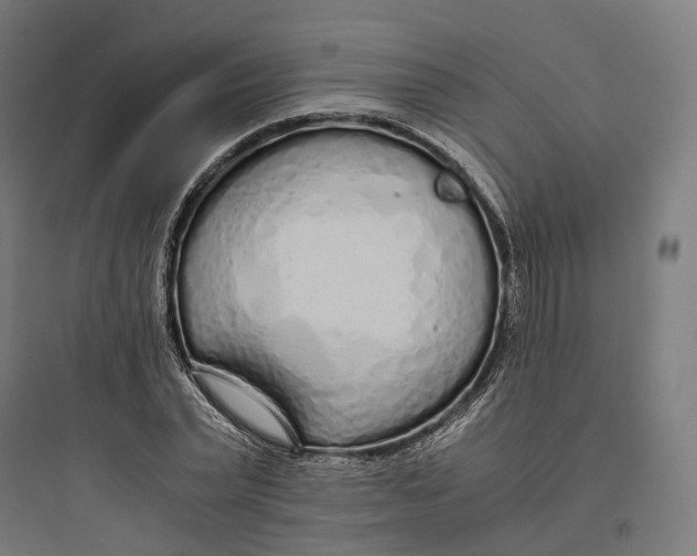 X0000093770783200711061133