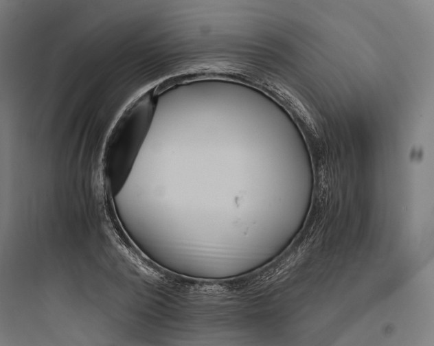 X0000093770784200711061133