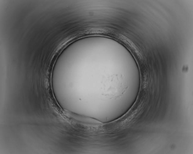 X0000093770786200711061133