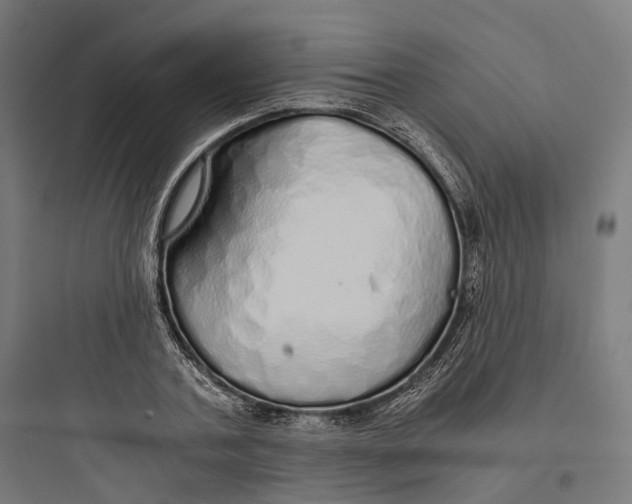 X0000093770787200711061133