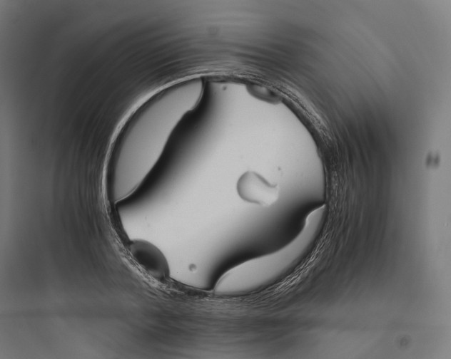 X0000093770788200711061133