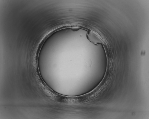 X0000093770789200711061133