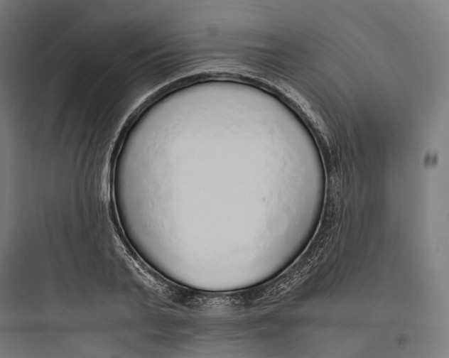 X0000093770791200711061133