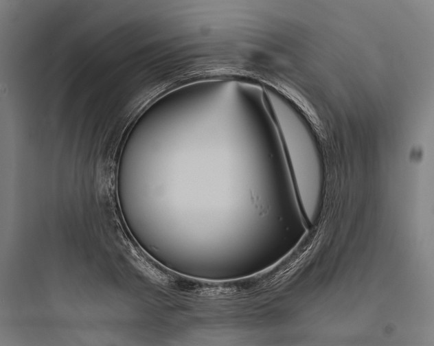 X0000093770793200711061133