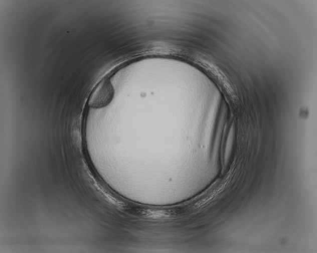 X0000093770794200711061133