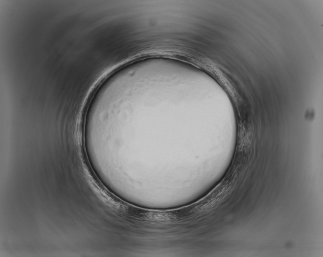 X0000093770795200711061133