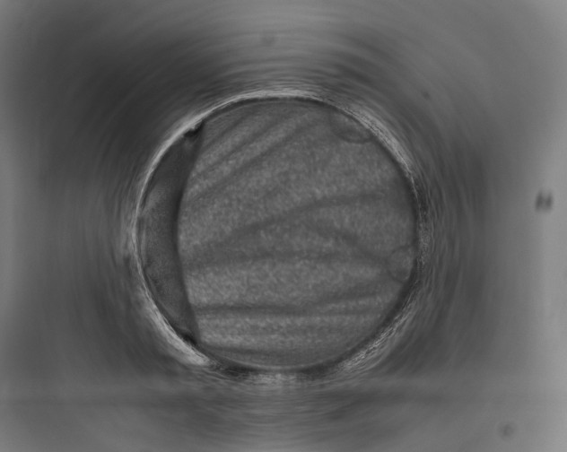 X0000093770797200711061133