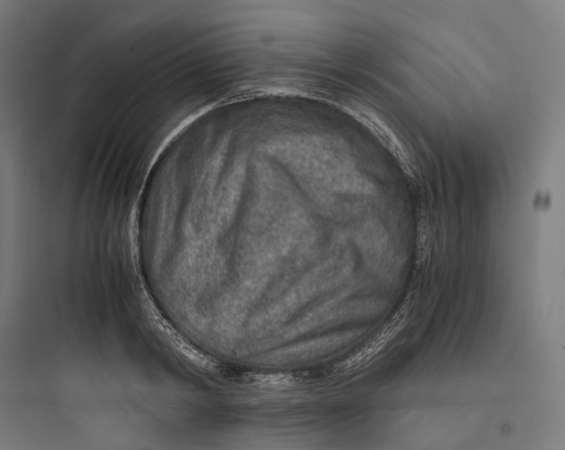 X0000093770798200711061133