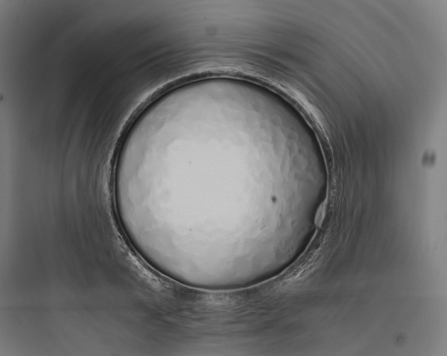 X0000093770799200711061133