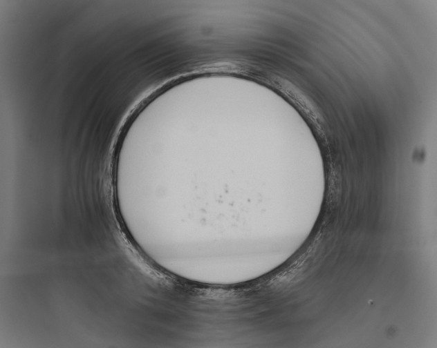 X0000093770800200711061133