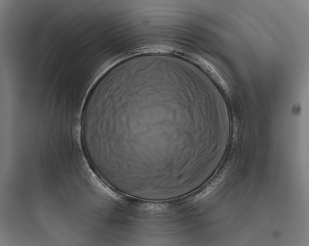 X0000093770802200711061133