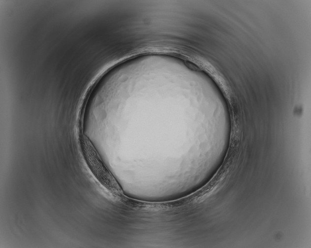 X0000093770803200711061133