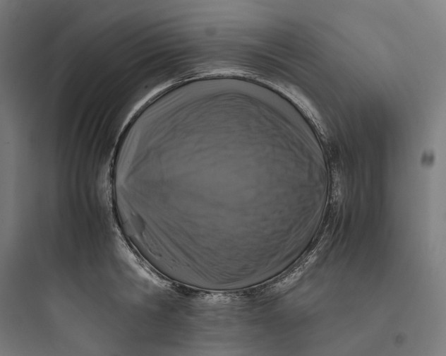 X0000093770806200711061133