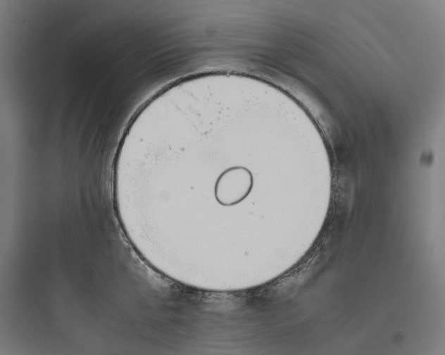 X0000093770807200711061133