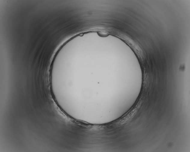 X0000093770808200711061133