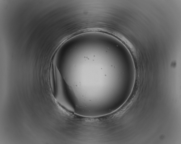 X0000093770809200711061133