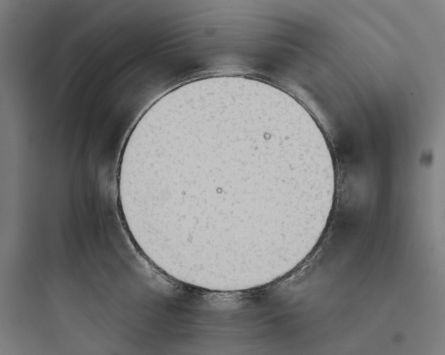 X0000093770810200711061133