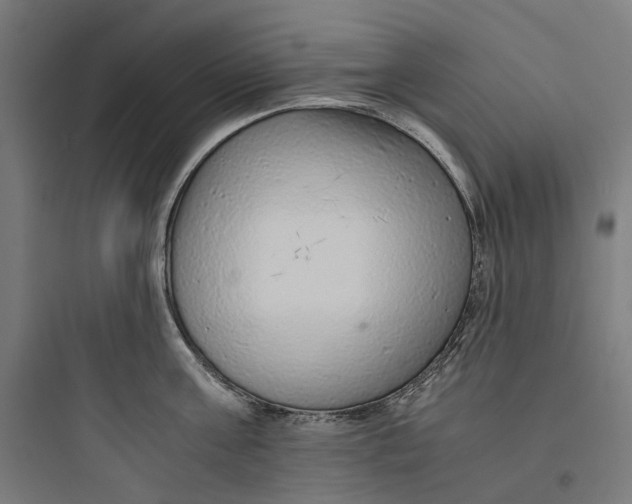 X0000093770811200711061133