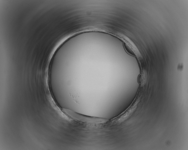 X0000093770812200711061133