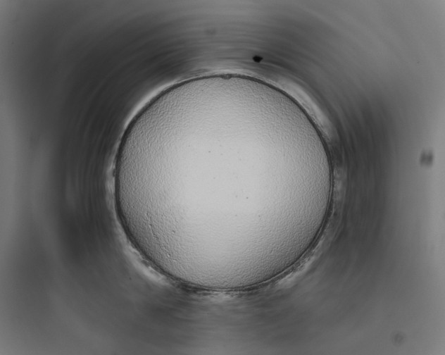 X0000093770814200711061133