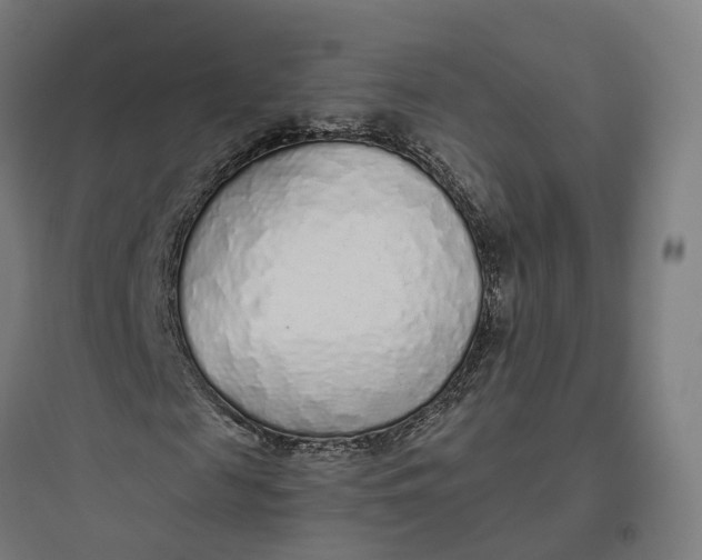 X0000093770817200711061132