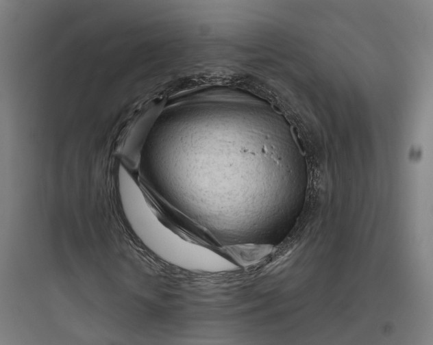 X0000093770818200711061132