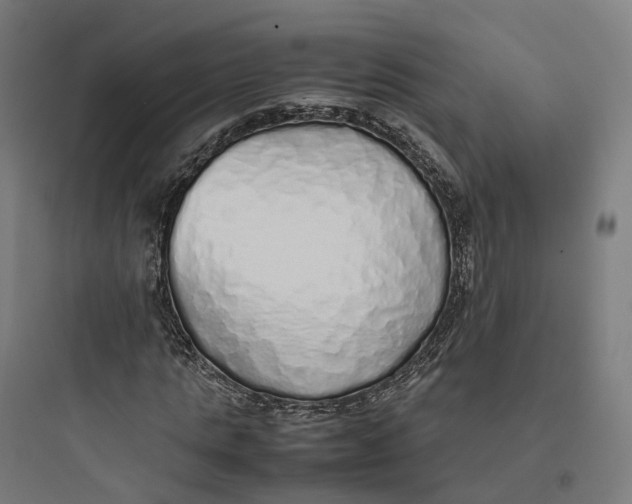 X0000093770821200711061132