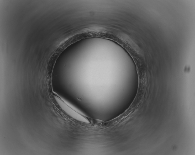 X0000093770822200711061132