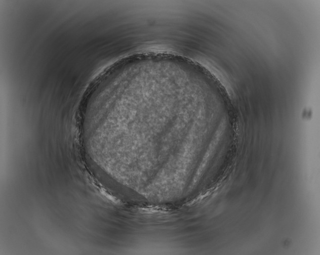 X0000093770823200711061132