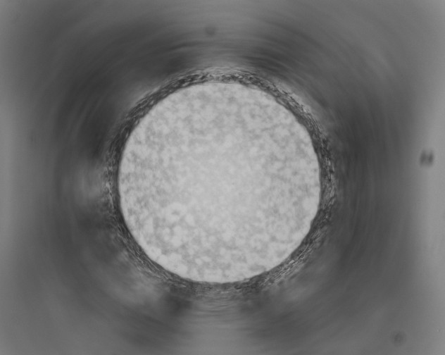 X0000093770824200711061132