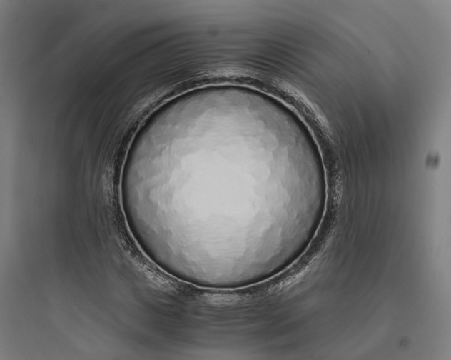 X0000093770825200711061132