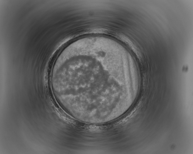 X0000093770827200711061132