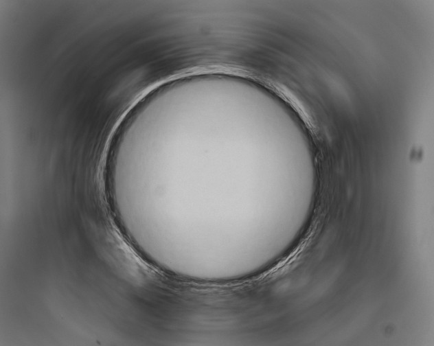 X0000093770828200711061132