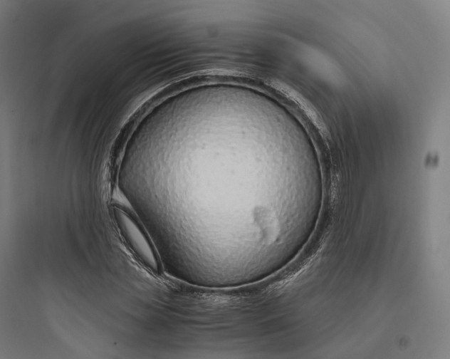 X0000093770829200711061132