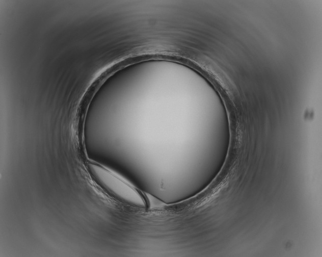 X0000093770830200711061132