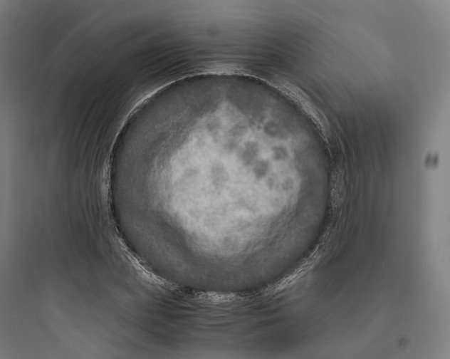 X0000093770831200711061132