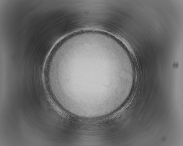 X0000093770832200711061132