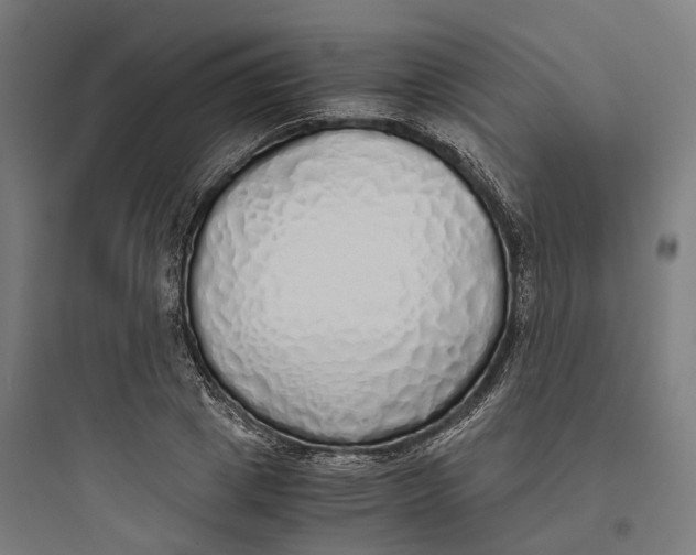 X0000093770833200711061132