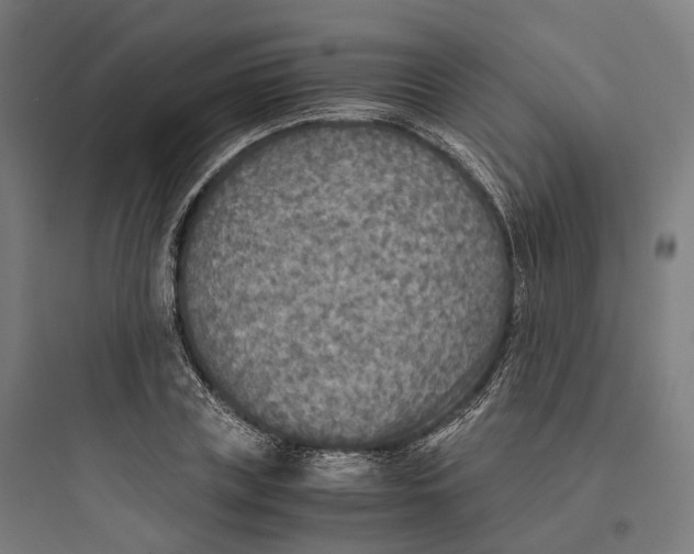 X0000093770835200711061132